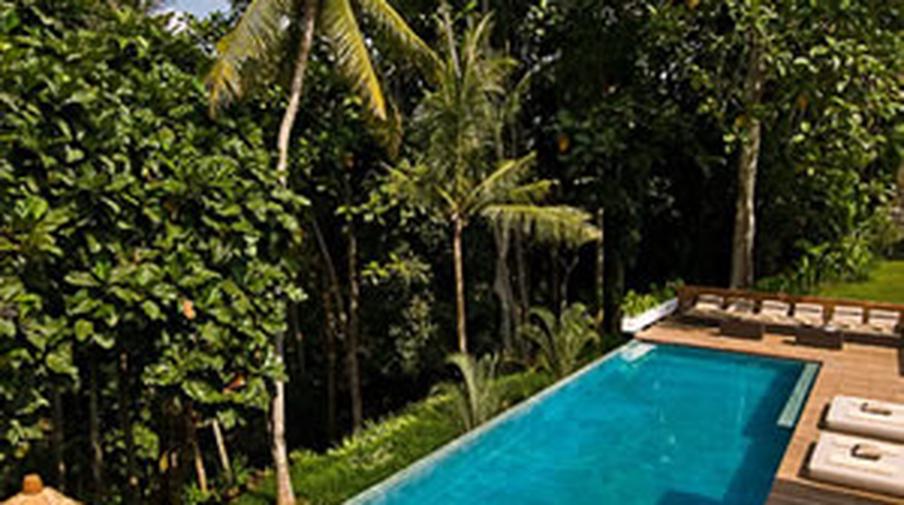 Lotus villa ayurveda resort